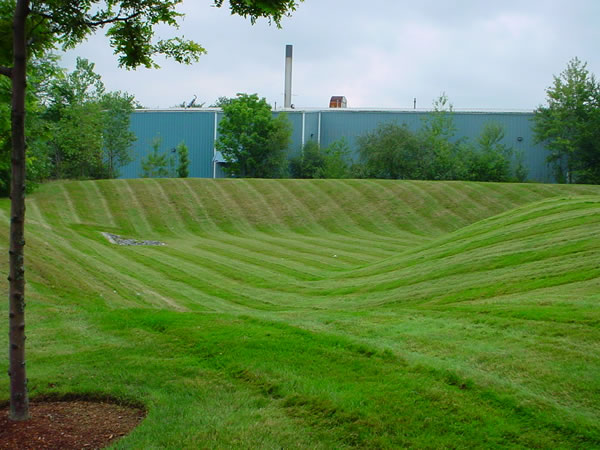 Lawn Fertilization Service