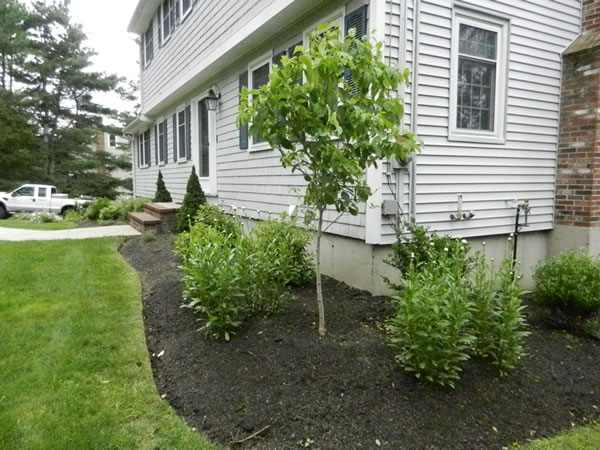 Spring Clean Up Landscaping